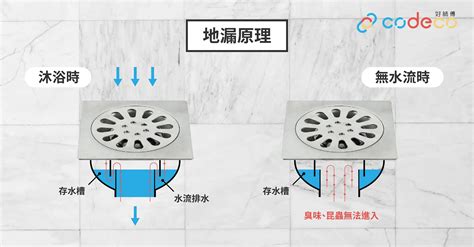 地台去水口|地台去水倒灌？解構地台去水隔氣設計+家居保險爆水。